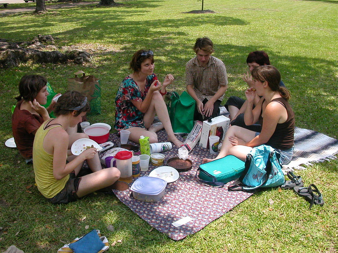 picnic estudiantes universitarios